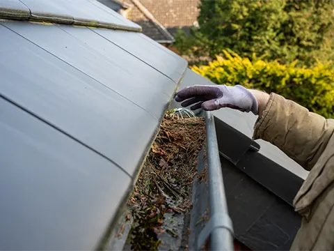 Gutter Cleaning Services Across Auckland