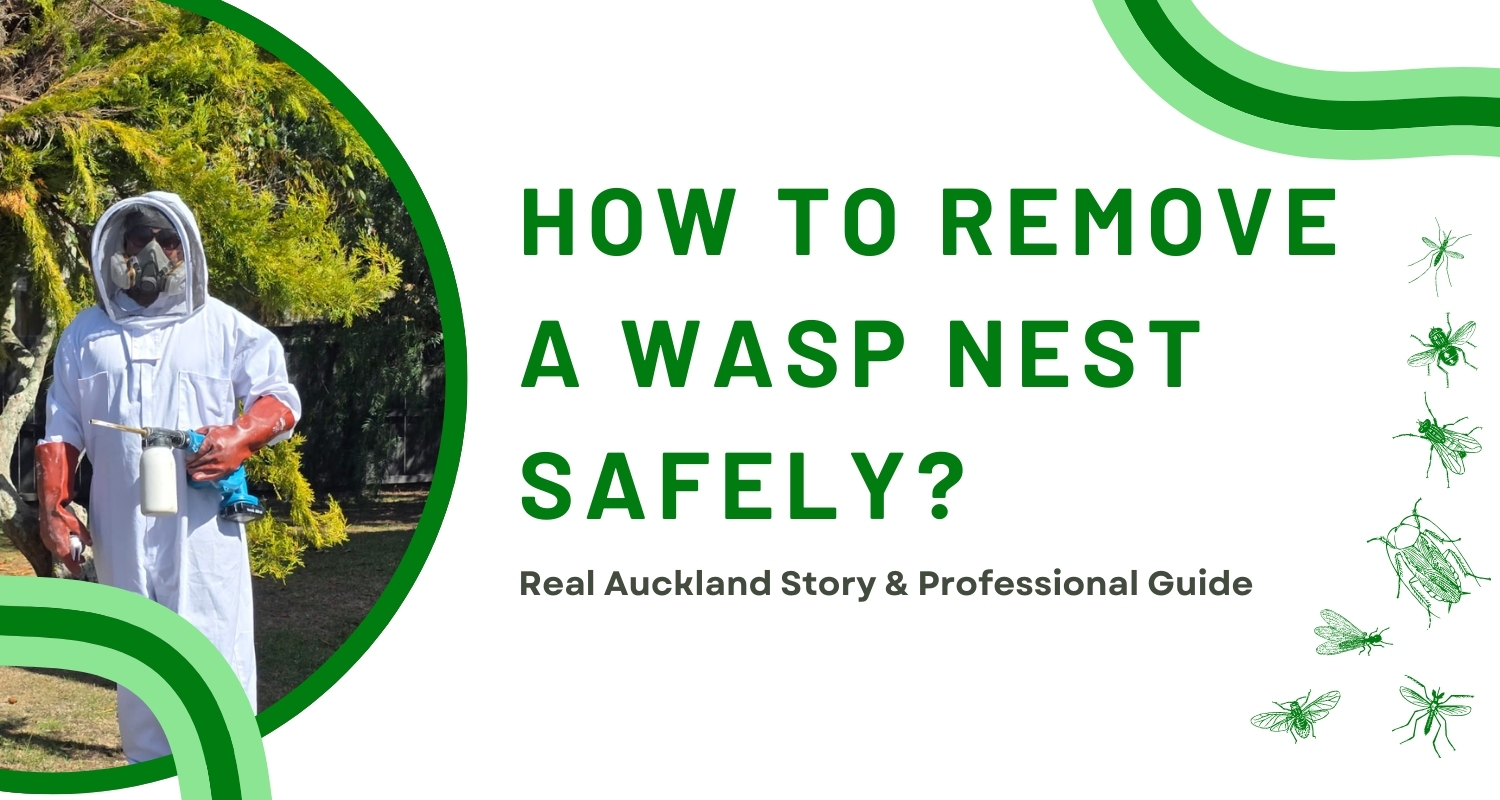 How to remove wasp nest in Auckland