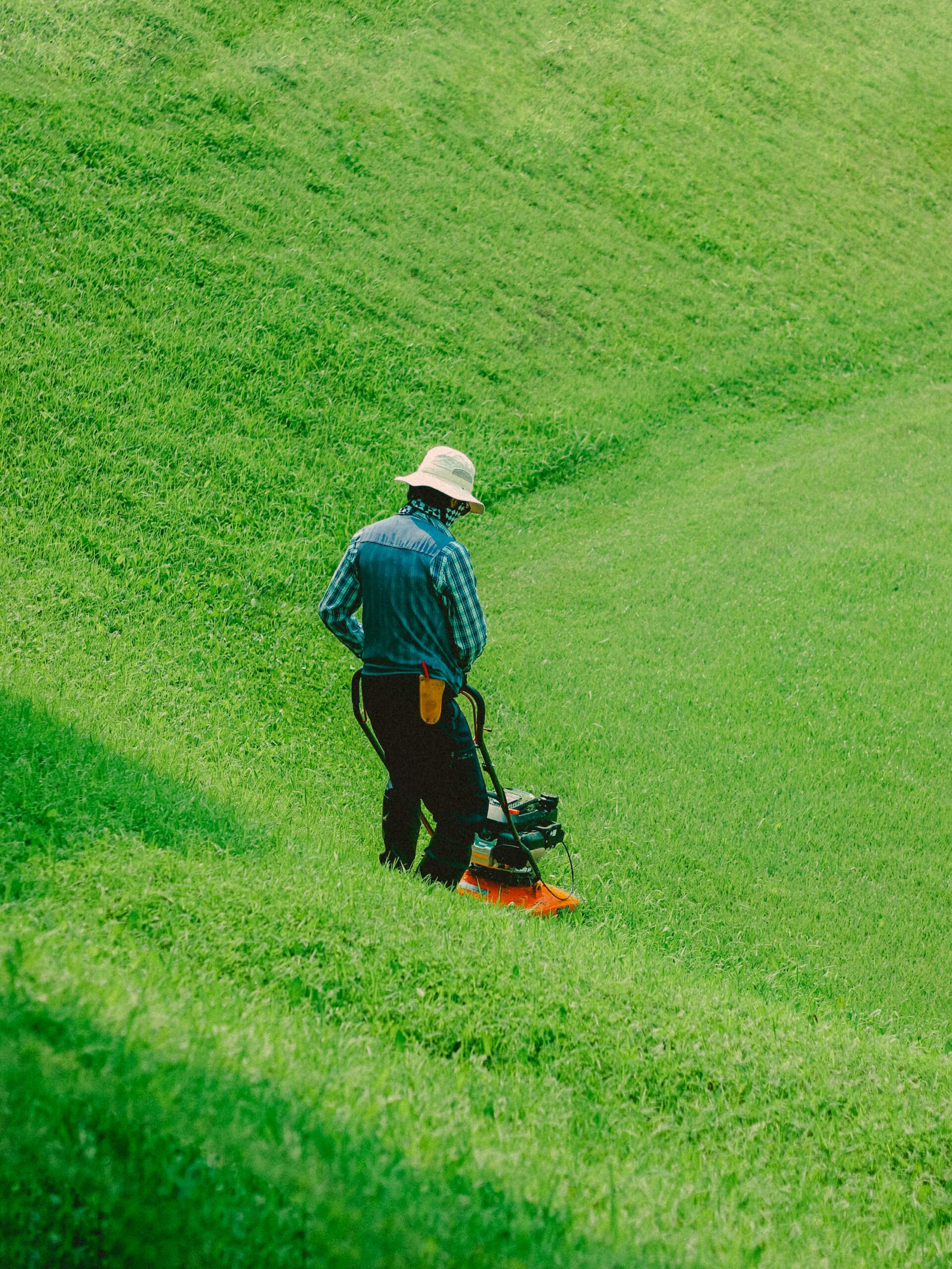 lawn mowing auckland