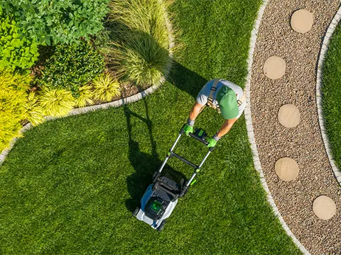 Lawn Mowing