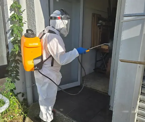 Pest Control New Zeland Healthy Spaces