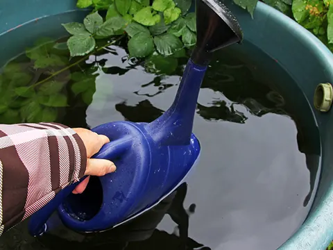 Rainwater garden care auckland