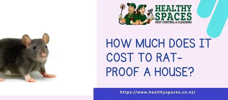 Rat-Proof A House