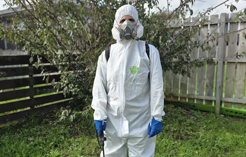 Trusted Pest Control Experts Committed to Your Safety