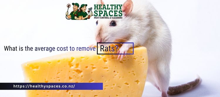 What is the average cost to remove rats