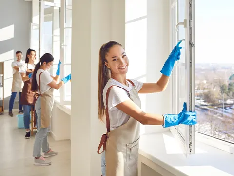 auckland window cleaning