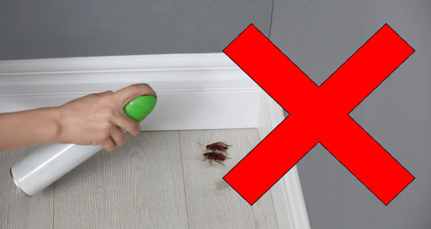 Cockroach Pest Control Healthy Space