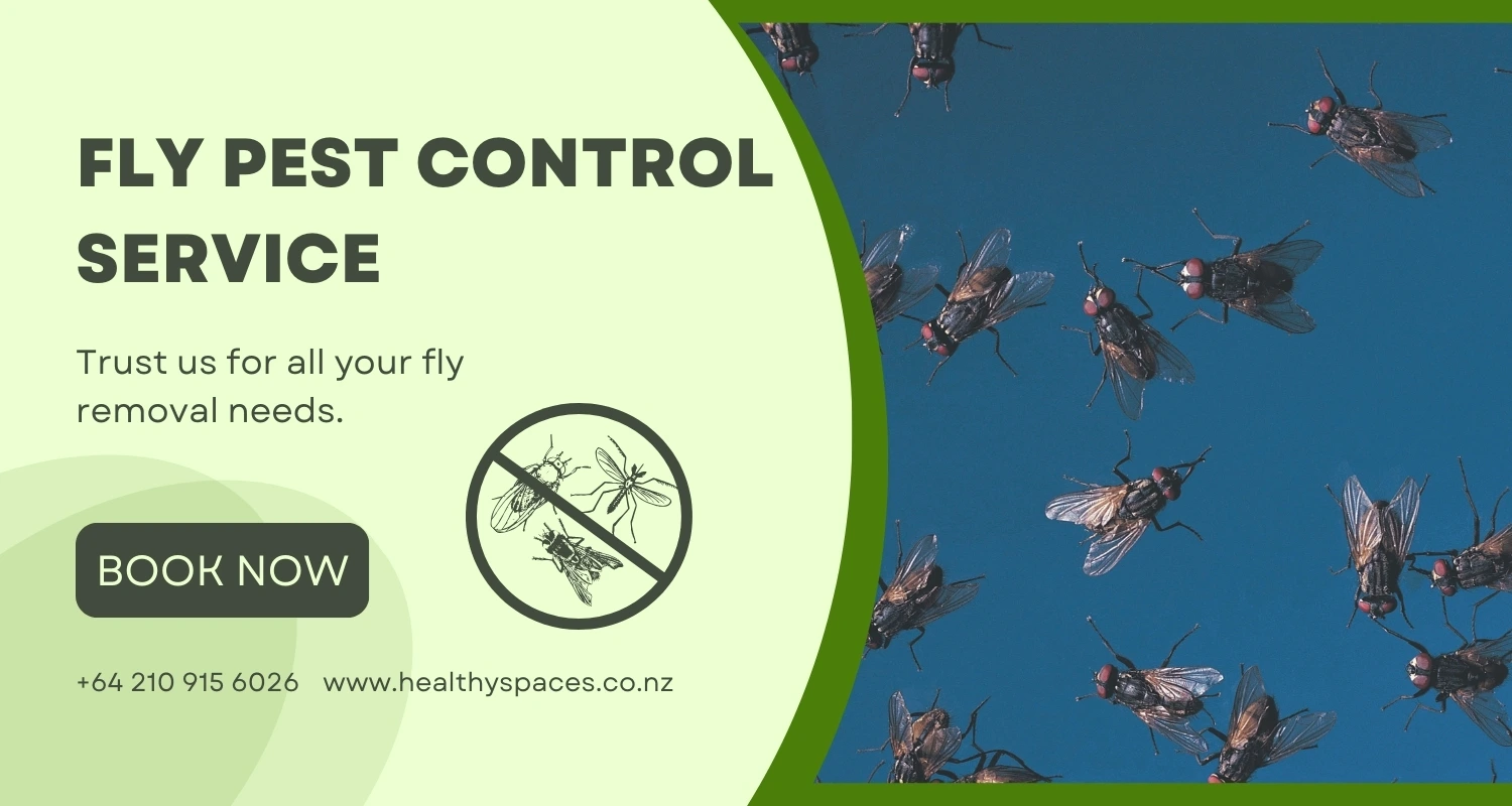 fly control Auckland