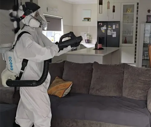fly pest control auckland