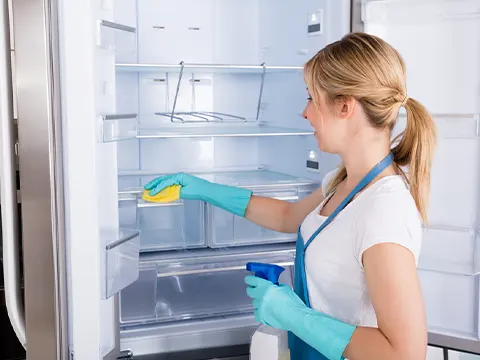 Fridge Cleaning Auckland