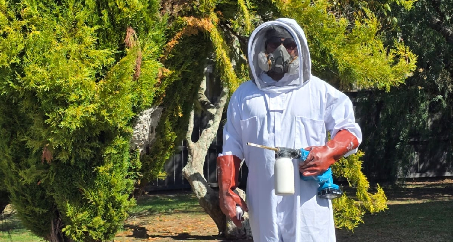 Healthy Spaces Wasp Nest Removal Service