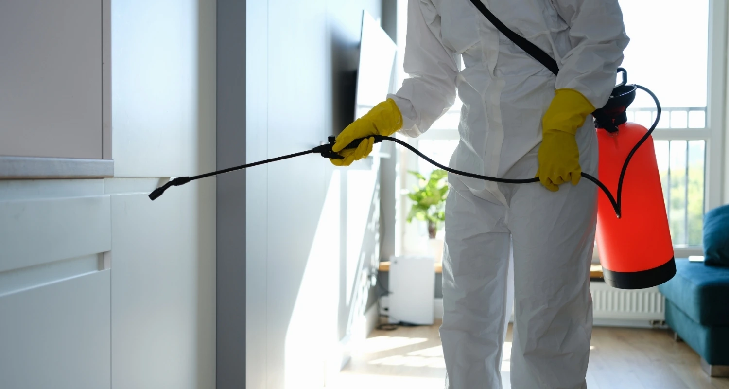 house fly control