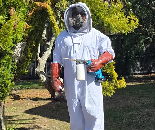 Pest Control Auckland