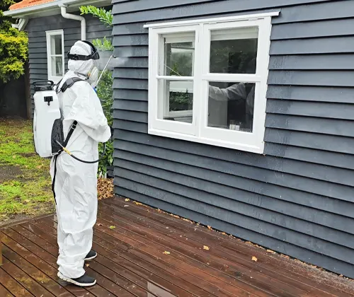 spider control services