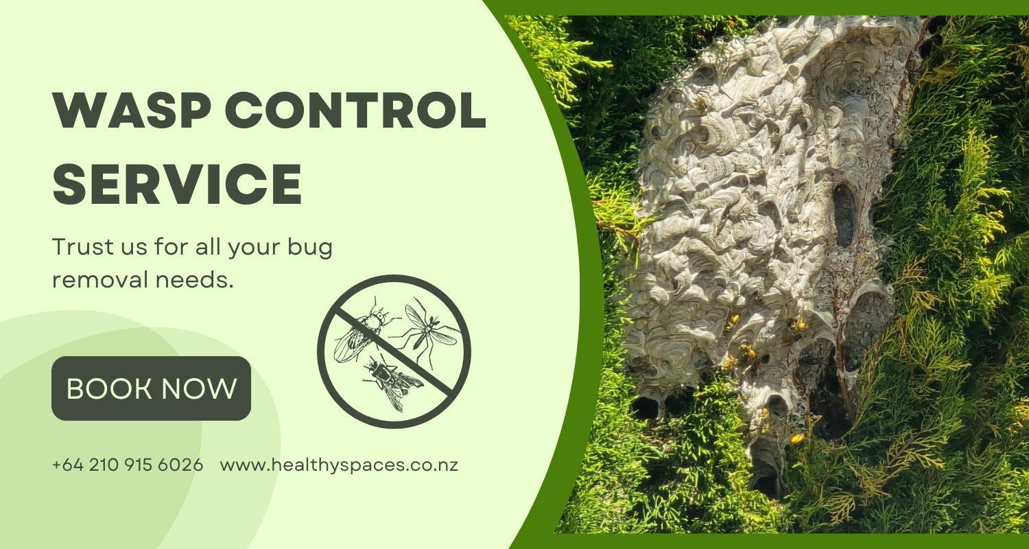 Wasp Control Service