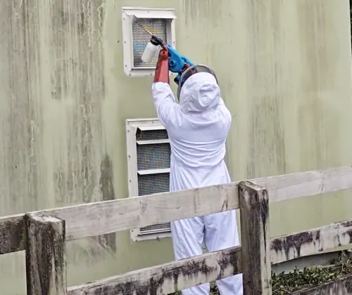 wasp control services