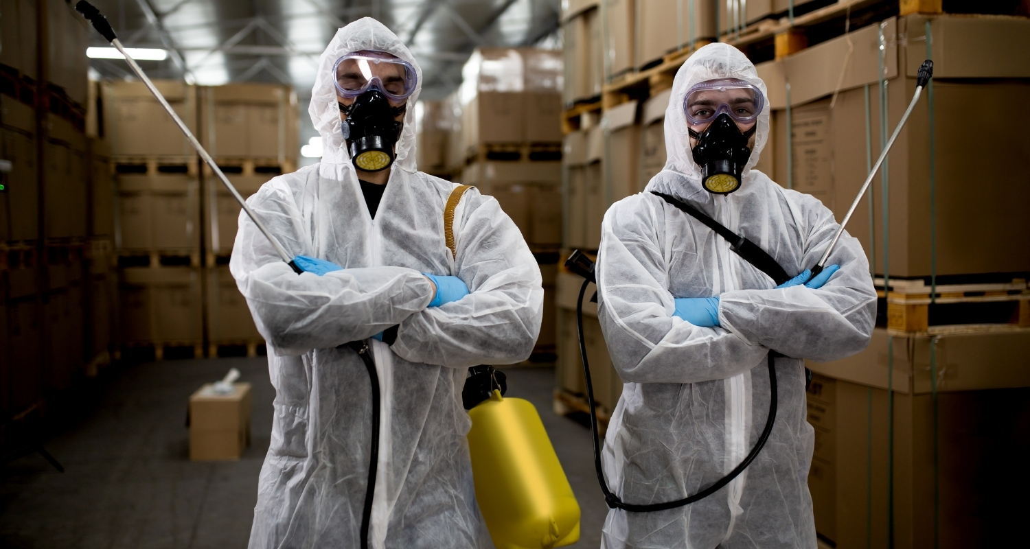 Wasp removal service provider in Auckland