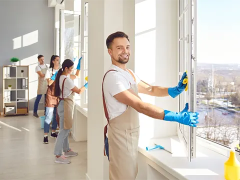 window cleaning auckland